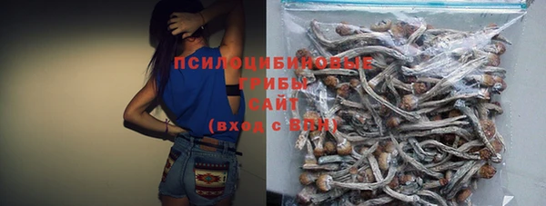 дурь Гусиноозёрск