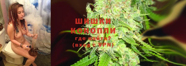 apvp Дмитровск