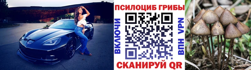 Псилоцибиновые грибы мухоморы  Пересвет 